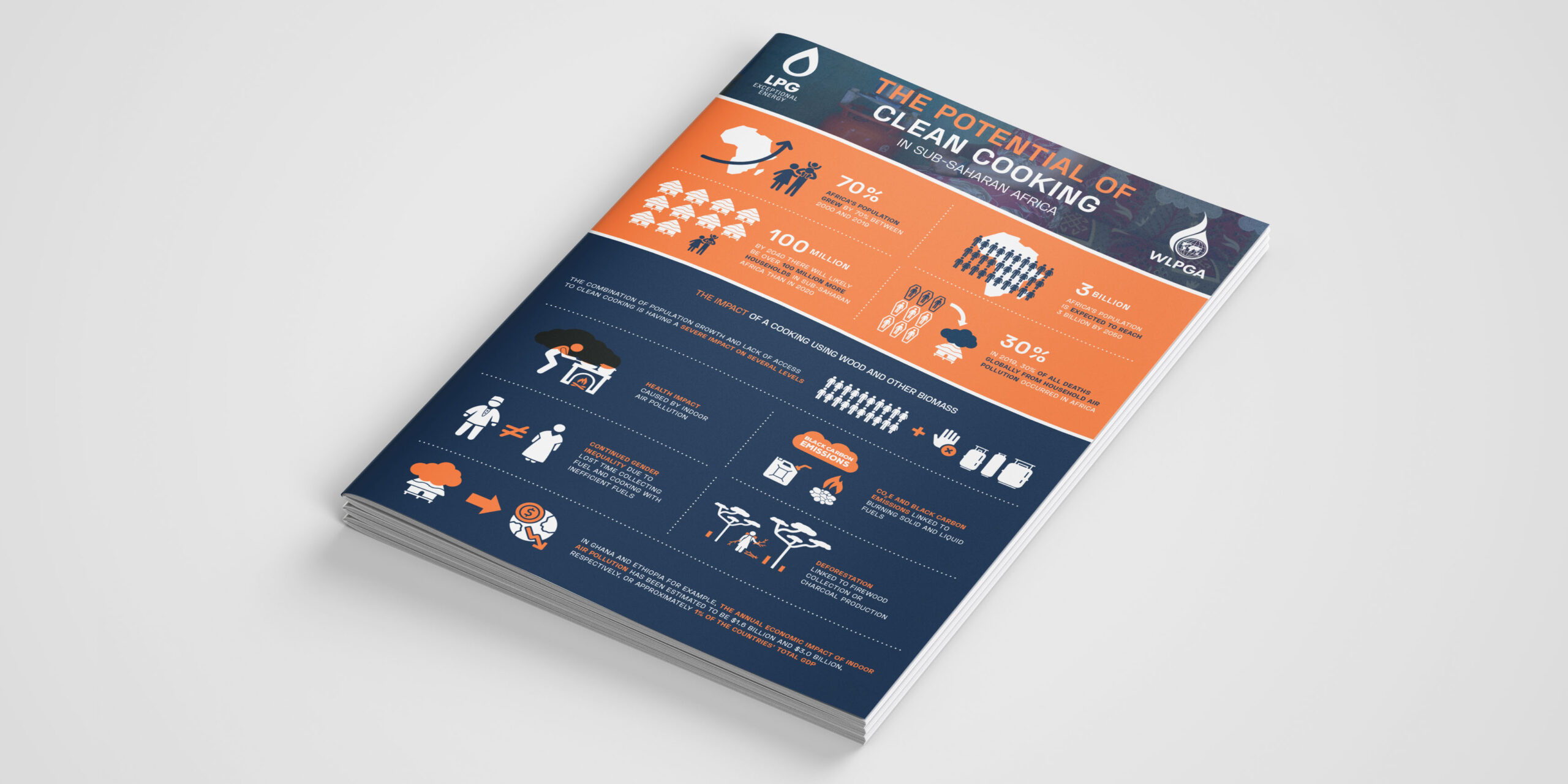 The Potential of Clean Cooking in Sub Saharan Africa Infographic ...