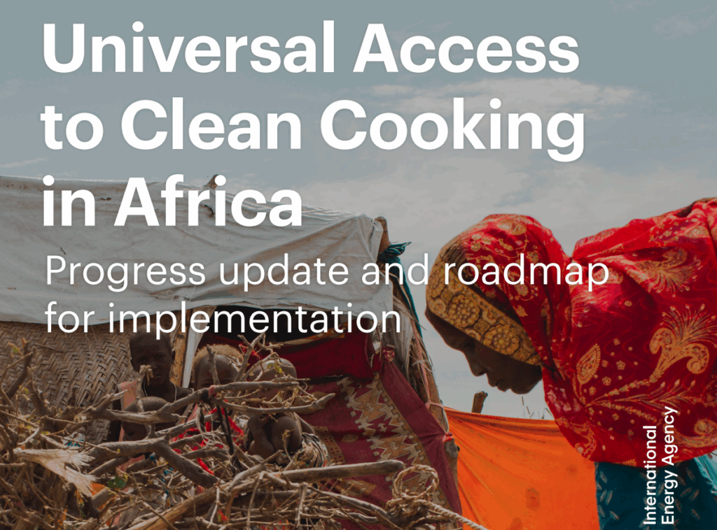 Universal Access  to Clean Cooking  in Africa