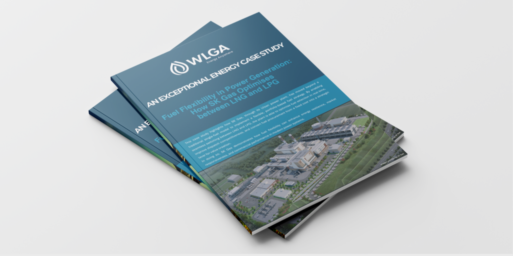 Exceptional Energy Case Study – Fuel Flexibility in Power Generation